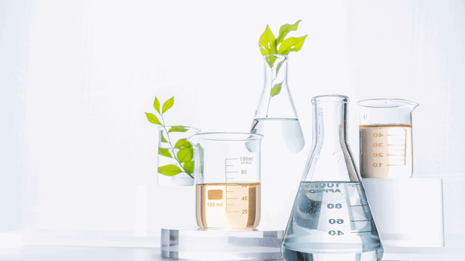 Discover the Remarkable Advantages of DMSO