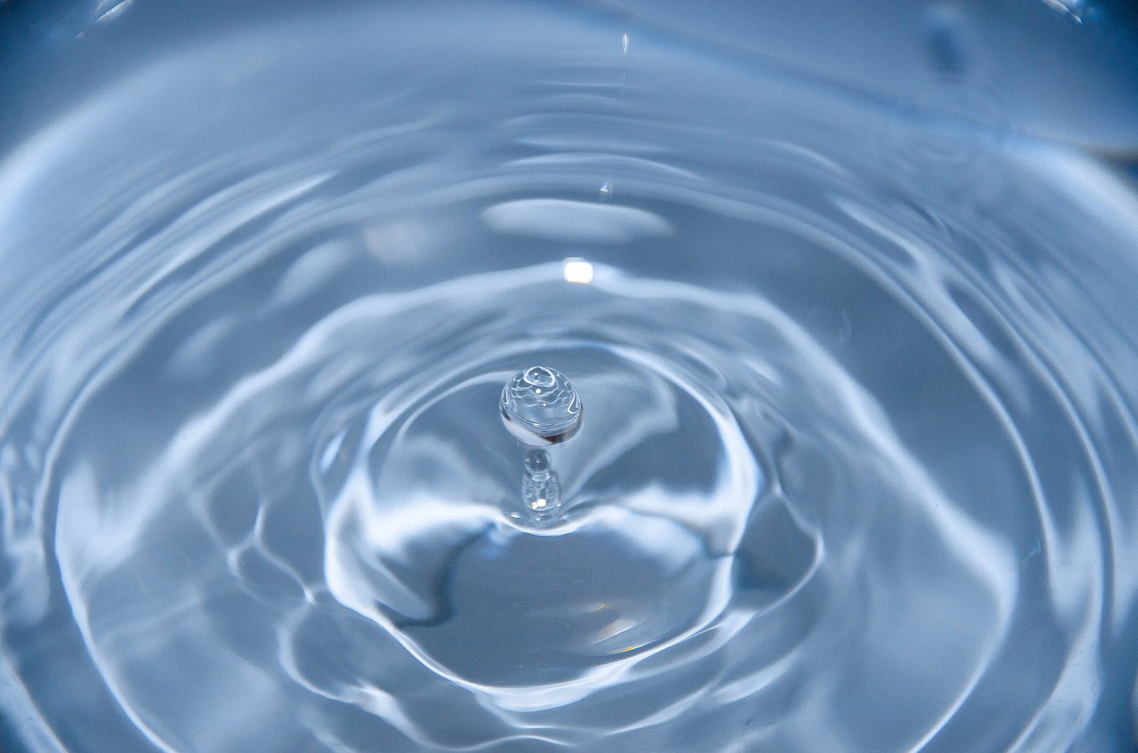 Tap Water VS Distilled Water