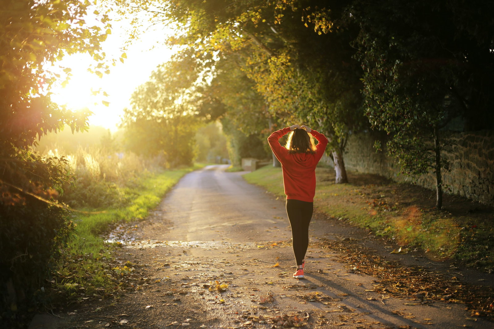 Boost Your Health with Iron and the Advantages of Our Iron Supplement